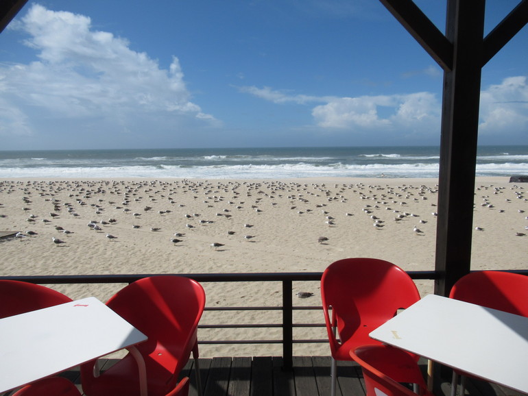 Restaurant aan het strand met een zwerm meeuwen